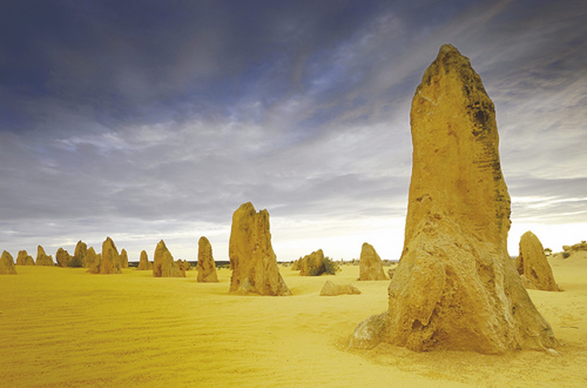 Pinnacles im Nambung Nationalpark