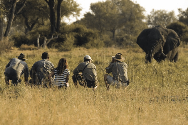 Botswana Moremi Game Reservat