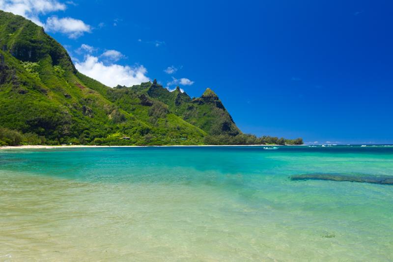 Aloha Hawaii