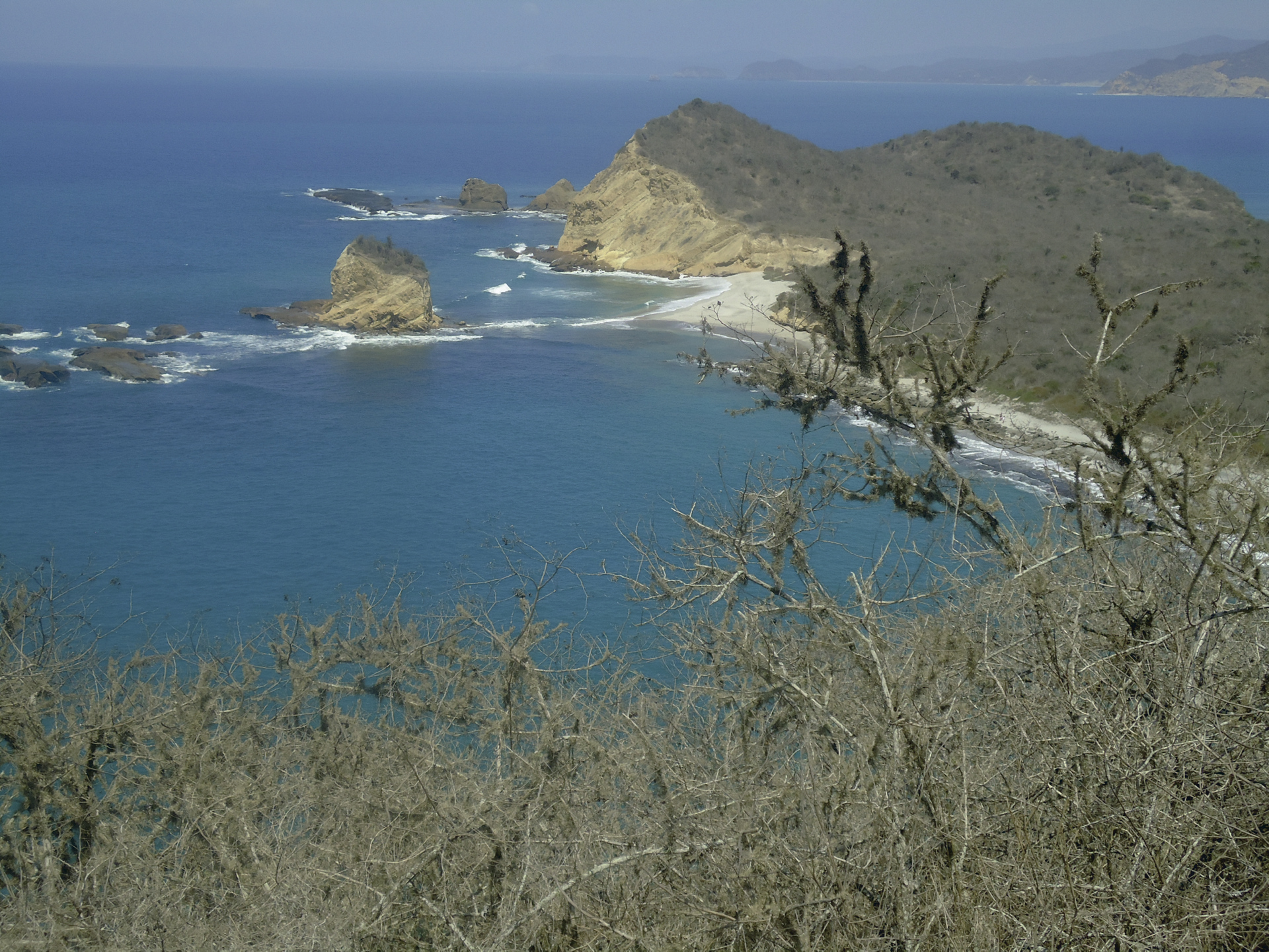 Isla de la Plata