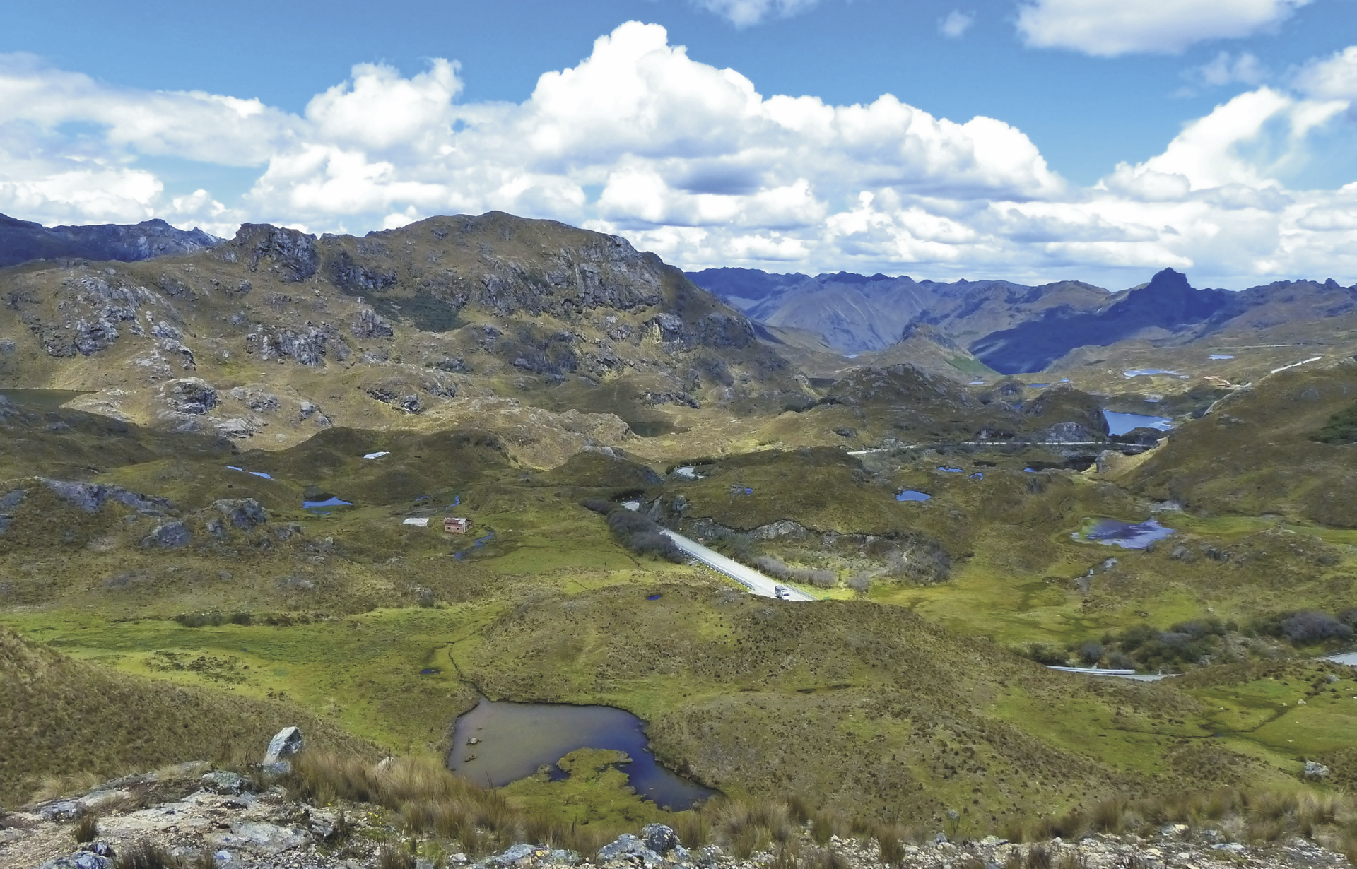 Cajas NP