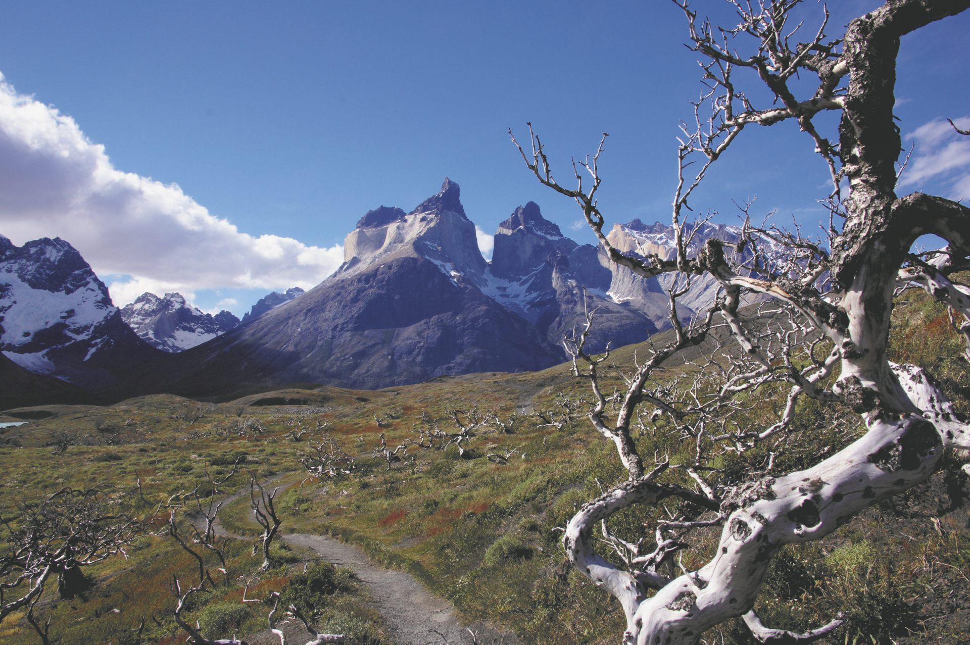 Nationalpark Torres del Paine