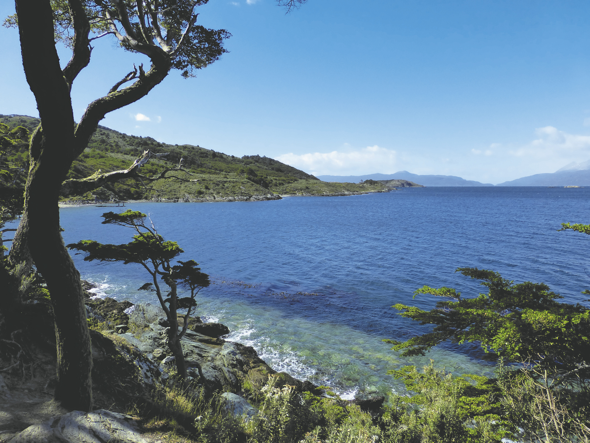 im Nationalpark Tierra del Fuego