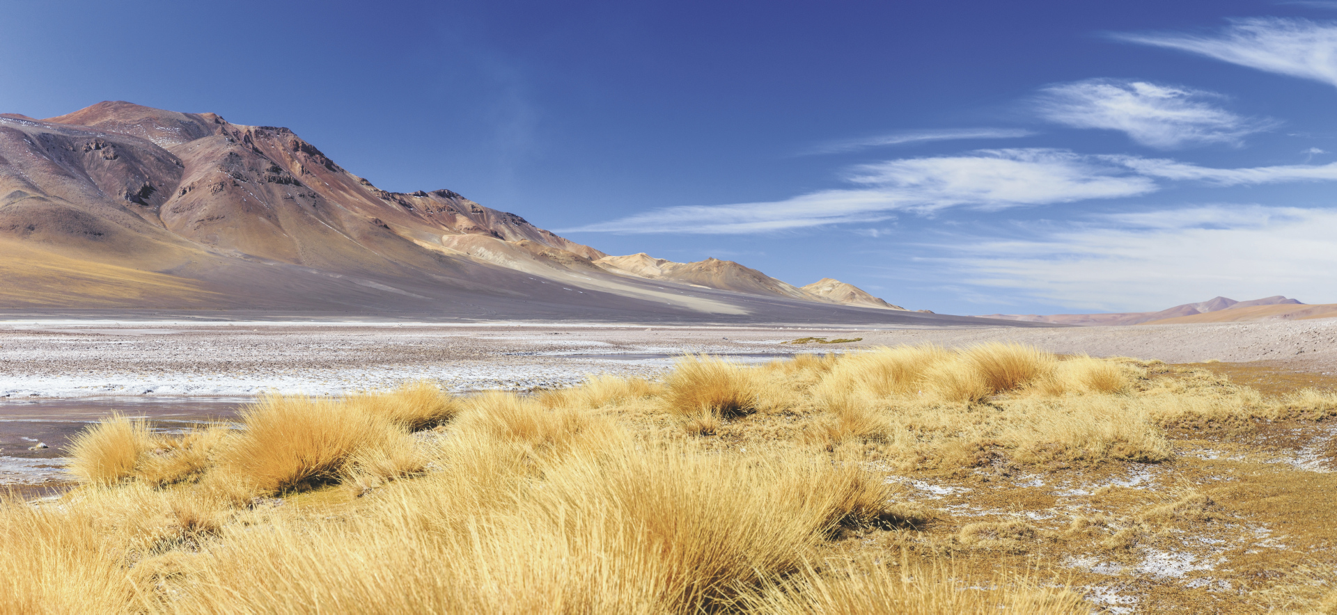 Salar de Huasco in Nordchile