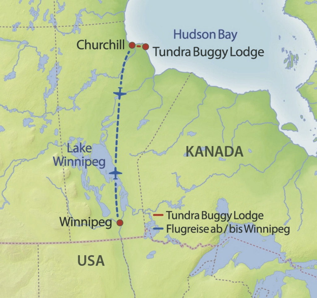Die Eisbären der Hudson Bay