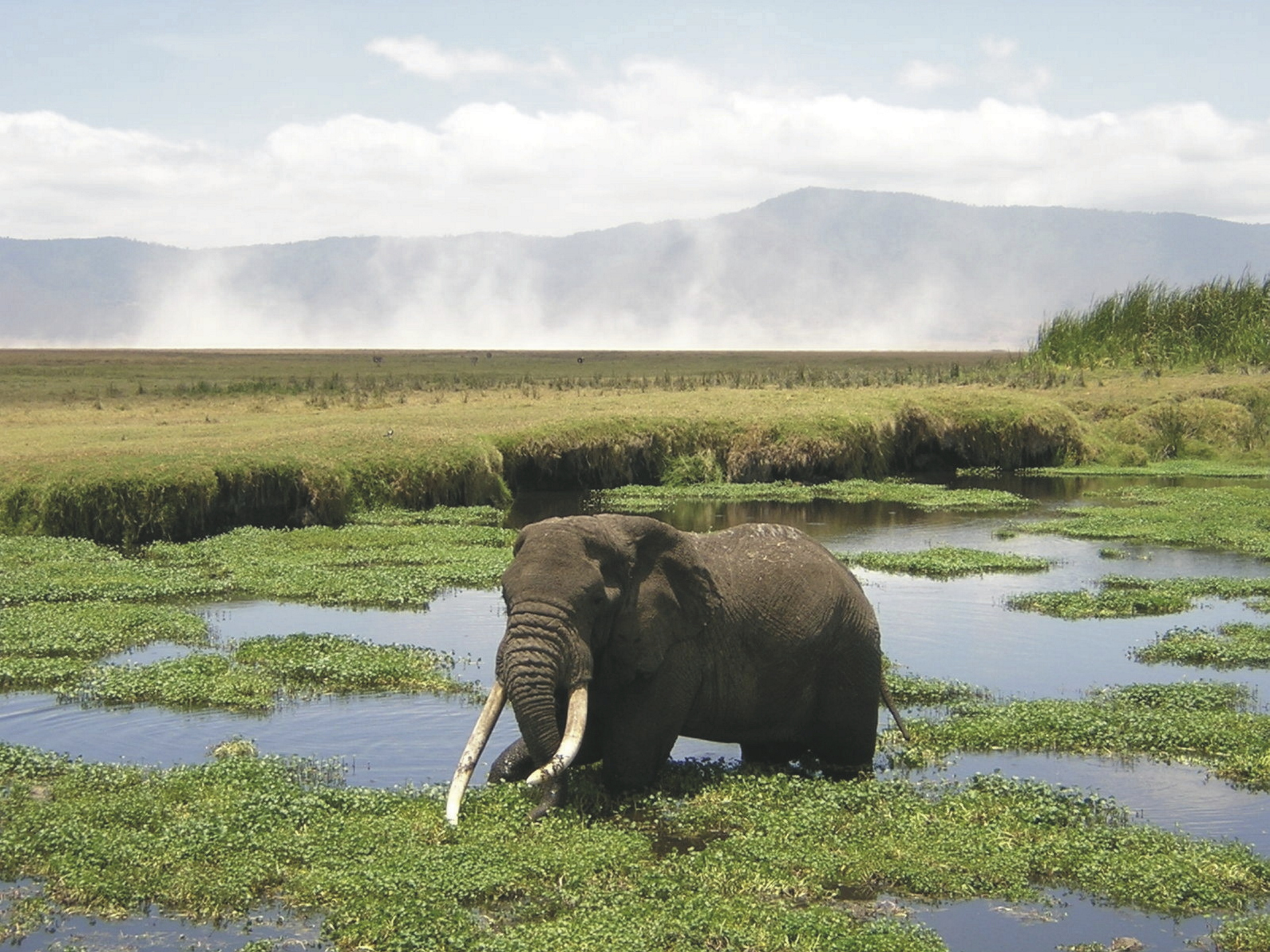 Im Ngorongoro Krater, ©Tanganyika Expeditions