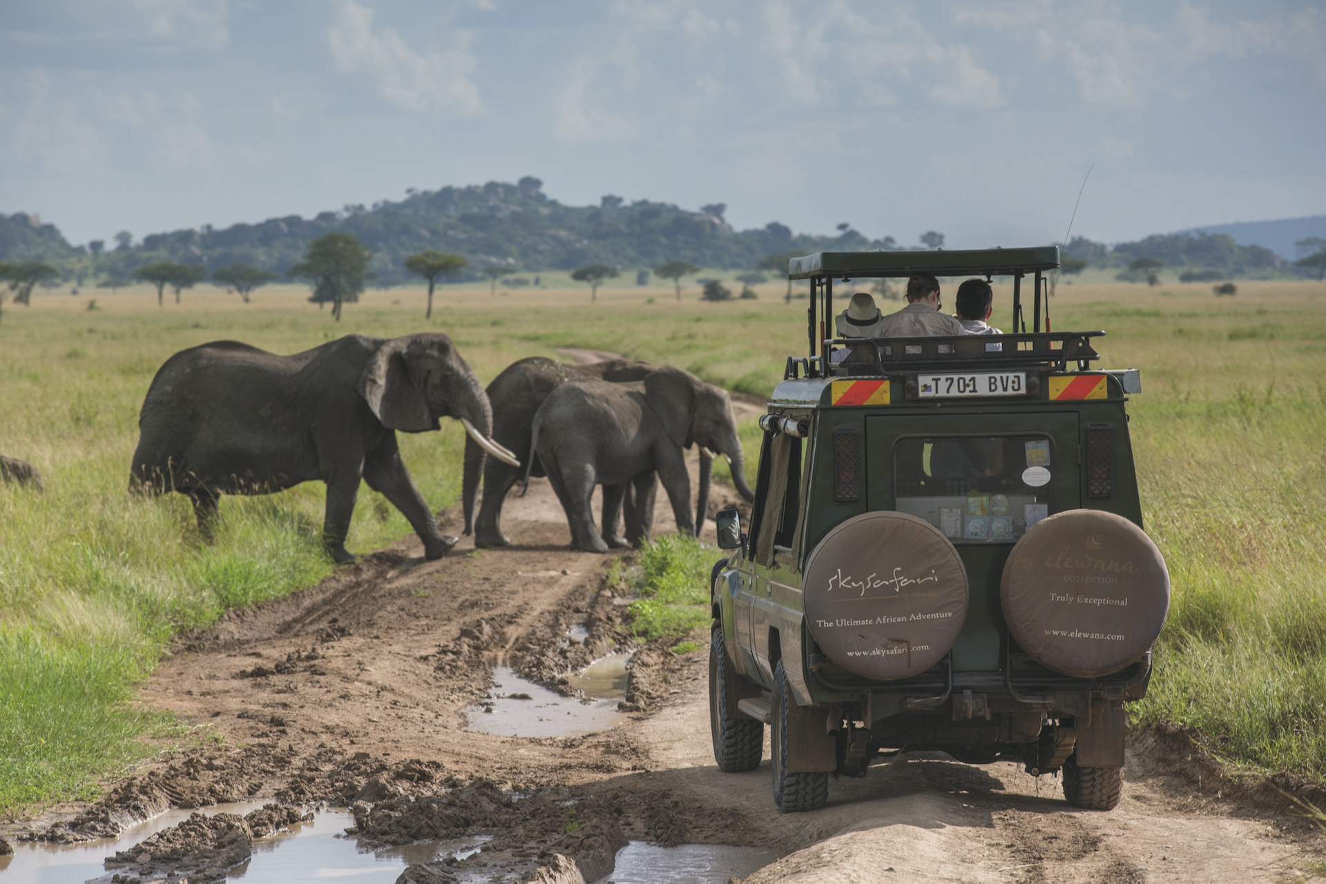 Begegnung bei einer Safari, ©Niels van Gijn / Silverless