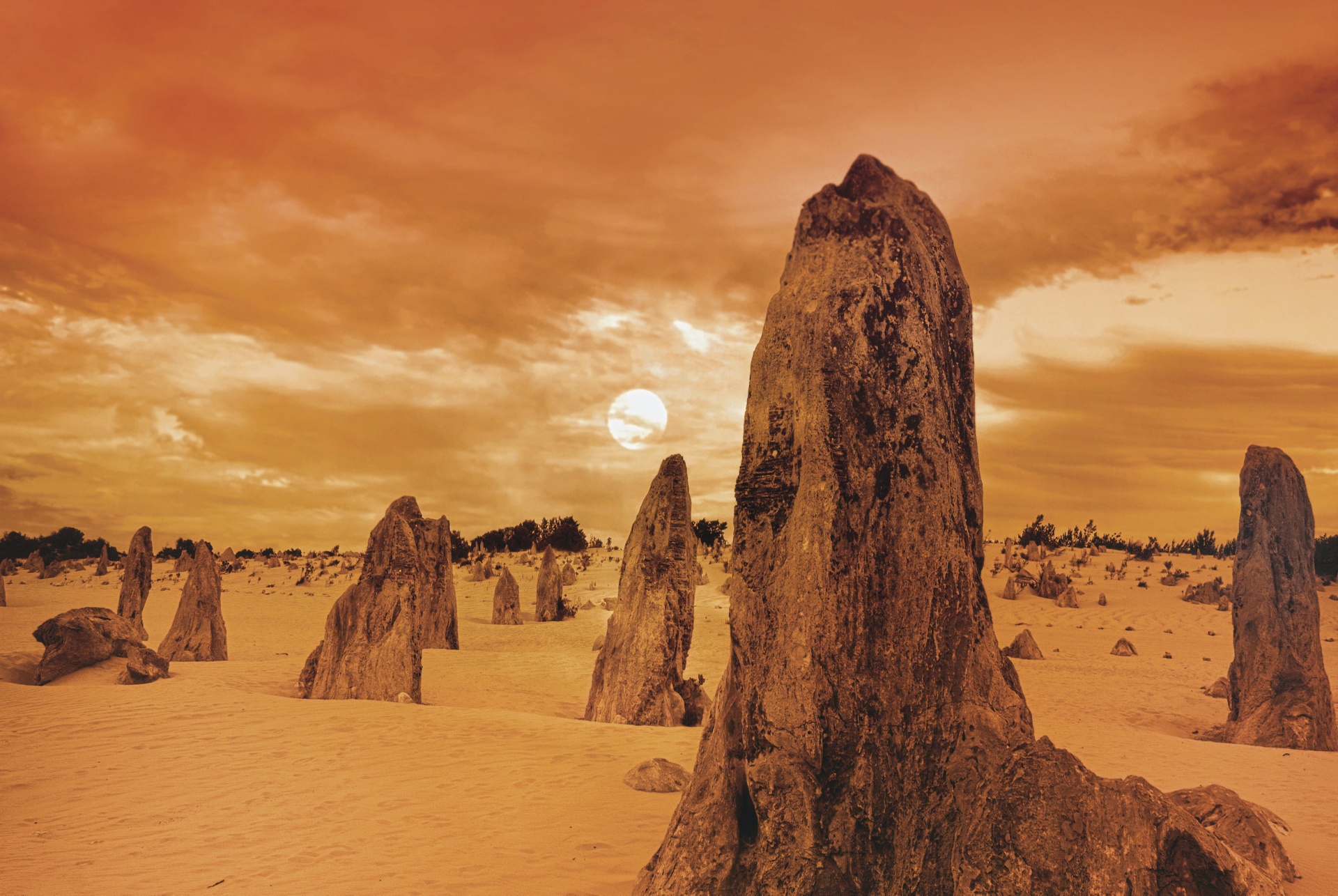 Pinnacles im Nambung Nationalpark