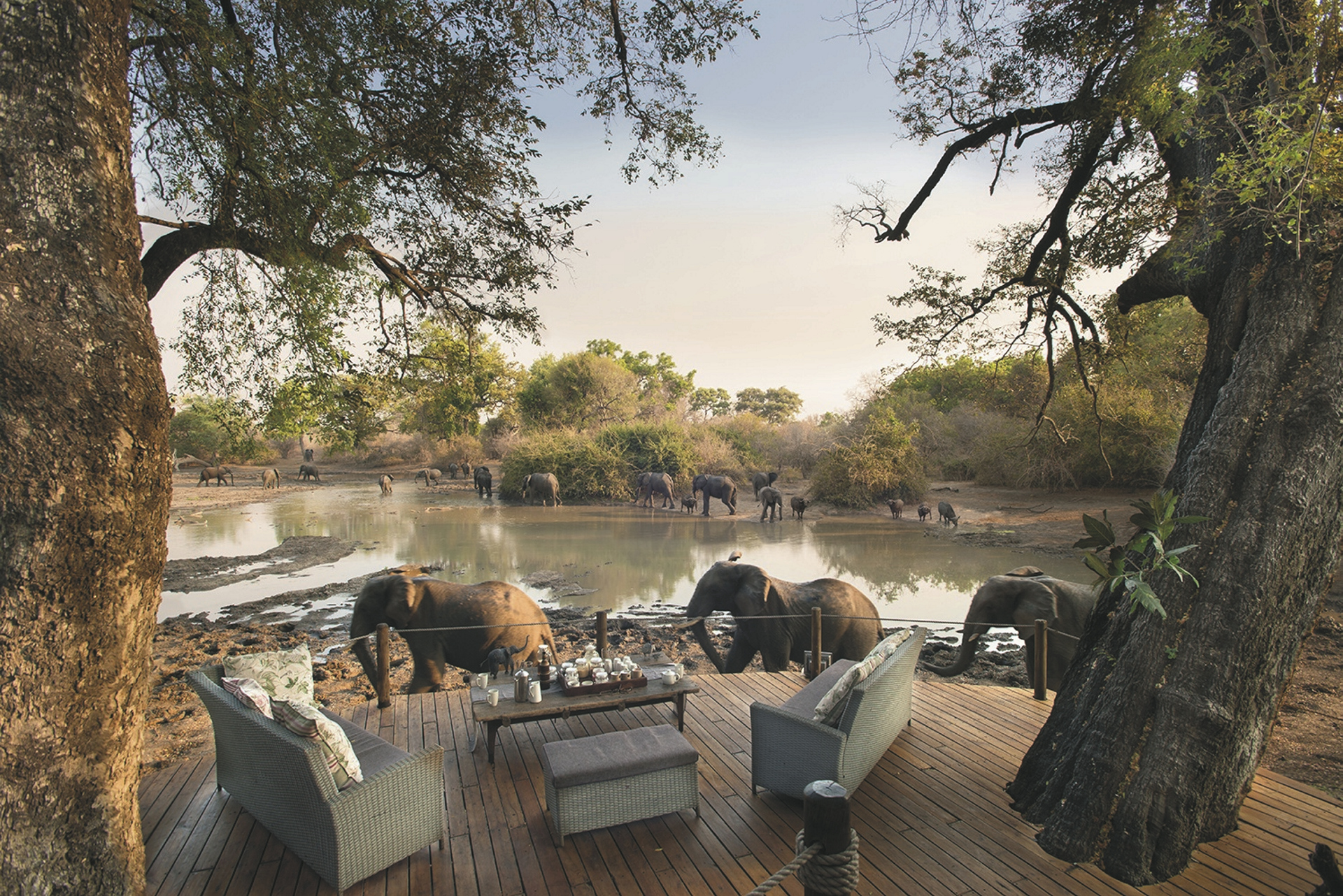 ©African Bush Camps