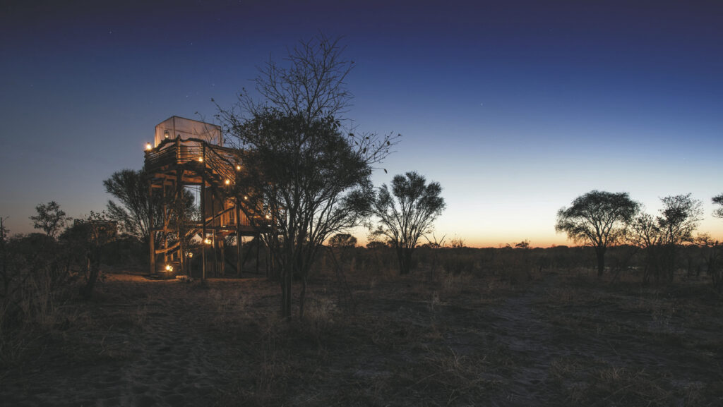 Naturerlebnisse in Botswana & Zimbabwe